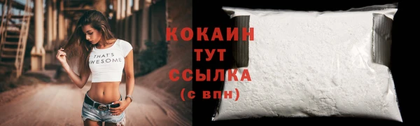 первитин Михайлов